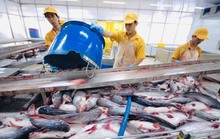 Không để ùn ứ nông sản do thiếu vốn