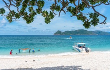Kinh nghiệm du lịch Côn Đảo