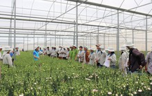 Yara Việt Nam hưởng ứng mạnh mẽ mục tiêu phát triển bền vững nông nghiệp Việt