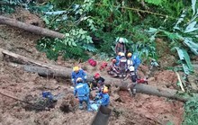 Đi cắm trại, người Malaysia gặp tai nạn kinh hoàng