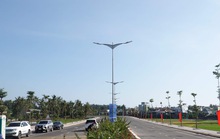 Bình Định: Hai người bỏ cọc 4,2 tỉ đồng sau khi trúng đấu giá 13 lô đất