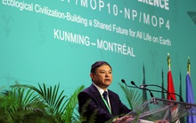 COP15: Mong chờ thỏa thuận lịch sử