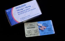 Đề xuất giảm 80% giá bán thuốc điều trị COVID-19 của Pfizer