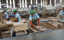 Doanh nghiệp gỗ bị treo cả ngàn tỉ tiền hoàn thuế