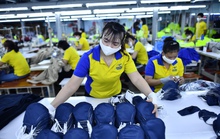 Chỉ 11,67% lao động Việt Nam có trình độ chuyên môn cao