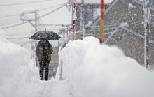 Bão tuyết tại Mỹ, Nhật Bản gây thương vong