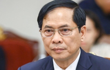 Bộ Chính trị phê bình nghiêm khắc Bộ trưởng Bộ Ngoại giao Bùi Thanh Sơn