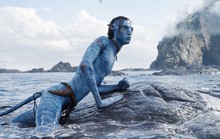 Phim “Avatar: Dòng chảy của nước” cán mốc 1 tỉ USD