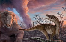 Loài người đang gặp lại vị tử thần khiến khủng long trỗi dậy?