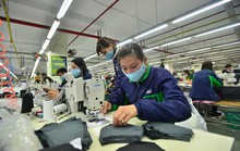 GDP Việt Nam 2022 tăng 8,02%, cao nhất từ năm 2011 đến nay