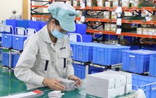 Singapore rót vốn vào Việt Nam lớn nhất, TP HCM dẫn đầu về thu hút FDI