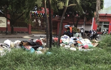 Đừng thờ ơ trước hành vi xả rác bừa bãi!