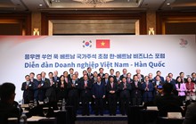 Chủ tịch nước: Hợp tác doanh nghiệp Việt - Hàn sẽ mang đến luồng sinh khí mới