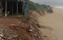 Sạt lở bờ biển nghiêm trọng, Bình Định sơ tán khẩn cấp gần 20 hộ dân