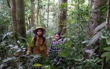 Sơn nữ giữ rừng