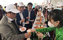 Bộ trưởng Lê Minh Hoan cùng các cầu thủ bóng đá tham gia Lễ hội thu hoạch cà rốt