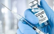 Kháng thể giảm vẫn chống Covid-19 khỏe re: Cơ chế bất ngờ