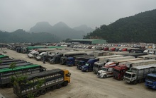 Ùn ứ hơn 2.000 xe hàng ở cửa khẩu Lạng Sơn