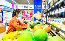 Saigon Co.op chung tay tiêu thụ dưa hấu Kon Tum ngay đầu năm
