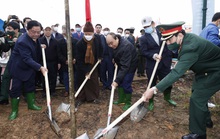 Chủ tịch nước Nguyễn Xuân Phúc phát động Tết Trồng cây tại Khu di tích lịch sử Đền Hùng