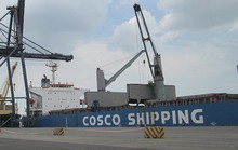 Vinacas muốn được Interpol Việt Nam hỗ trợ vụ 36 container điều bị mất kiểm soát