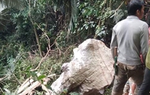 Huy động 100 người vào rừng đưa thi thể người đàn ông bị đá đè chết về nhà