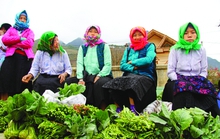 Đi xem chợ phiên trên cao nguyên đá