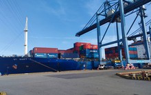 Cước tàu biển vẫn tăng chóng mặt