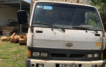 Bình Định: Khởi tố vụ án khai thác, vận chuyển trái phép 2 xe chở gỗ lậu