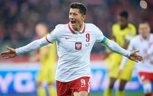 5 anh hào châu Phi theo chân Ba Lan, Bồ Đào Nha đến World Cup 2022