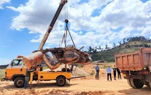 Sở Tài nguyên và Môi trường Lâm Đồng đề nghị kiểm tra, xử lý vụ cát tặc lộng hành hàng chục năm