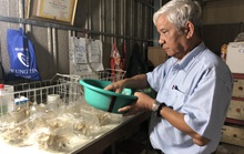 Xứ biển tự hào có chú Bảy Bằng