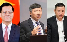 Bổ nhiệm lãnh đạo Bộ Ngoại giao và Ủy ban Quản lý vốn nhà nước tại doanh nghiệp