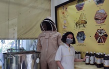 Tin vui cho mật ong Việt Nam