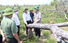 Bí thư, chủ tịch tỉnh Đắk Lắk kiểm tra hiện trường vụ phá rừng gây xôn xao dư luận