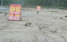 Chi tiết sai phạm đất đai tại điểm nóng xã An Viễn, huyện Trảng Bom
