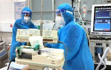 Những đóa hoa trong giông bão