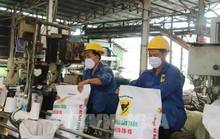 Phân bón đầu trâu đạt doanh thu cao nhờ tiêu thụ NPK tăng mạnh