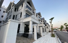 Kiểm tra tính liêm chính của cán bộ thuế trong thu thuế chuyển nhượng bất động sản