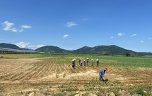 11 dự án nông nghiệp dở dang ở Quảng Ngãi