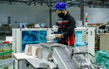 Lạc quan về tăng trưởng kinh tế Việt Nam