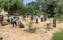 Trồng 2.000 cây xanh tại các đơn vị Bộ đội Biên phòng tỉnh Đắk Lắk