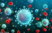 Tế bào bị nhiễm virus SARS-CoV-2 có thể “phát nổ”