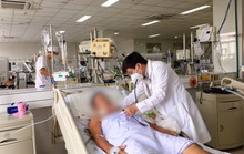 Đàn ong đuổi theo người phụ nữ, 4 người nhập viện