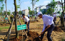TP HCM phát động Tết trồng cây đời đời nhớ ơn Bác Hồ năm 2022