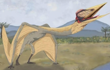 Rồng tử thần sải cánh 9 m hiện hình ở Nam Mỹ: loài hoàn toàn mới