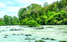 Huyền thoại Ban Mê