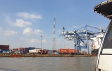 TP HCM nói về thu phí hạ tầng cảng biển