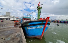 Bình Định đề nghị Bộ Công an điều tra đường dây môi giới đánh cá trái phép ở nước ngoài