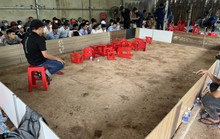 Bí mật trong bãi đất trống ở huyện Bình Chánh